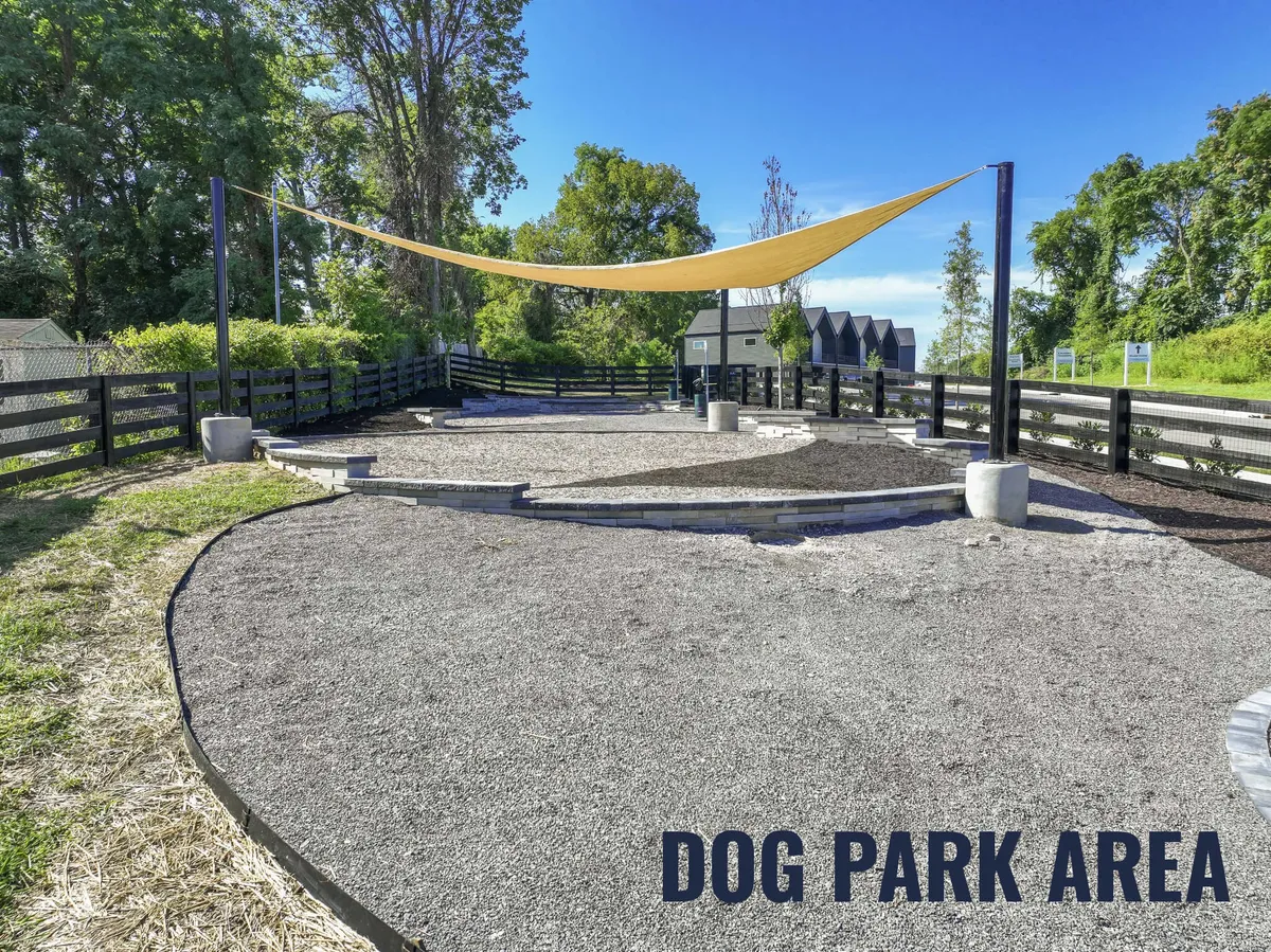 An exterior image highlighting the onsite dog park, complete with a fenced perimeter, shade sail, and dogs at play. The space is bright and inviting, encouraging pet owners to socialize while their pups enjoy the outdoors.